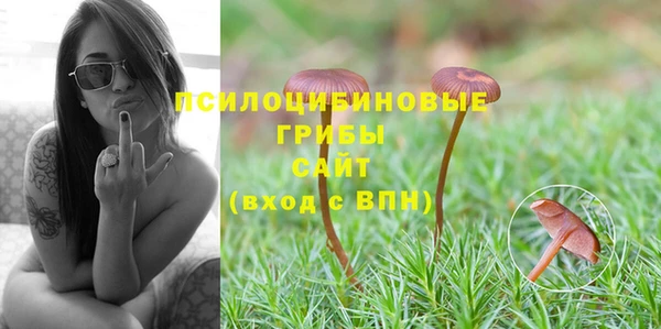 кокс Алексеевка